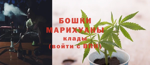 стафф Аркадак