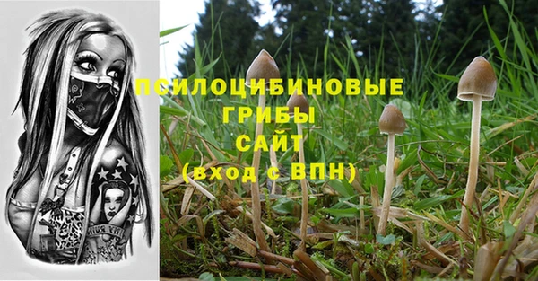 mix Арсеньев