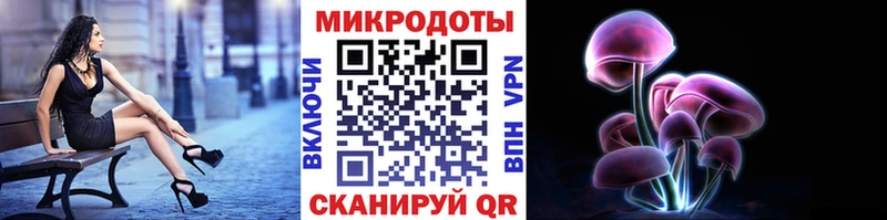 сколько стоит  Севск  Псилоцибиновые грибы MAGIC MUSHROOMS 